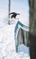 RYAN PAUL PINK CLOUD PRO MINI 135